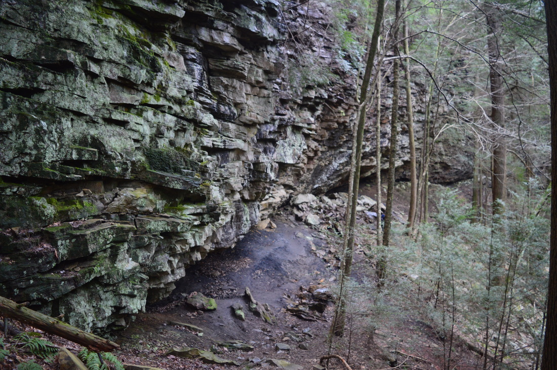 South Cumberland State Park: Fiery Gizzard Trail (Grundy Forest to ...